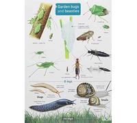 Garden Bugs and Beasties