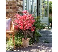 Garden by Sainsbury's Artificial Acer Tree