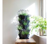 Garden Central 5 Tier Black Stackable Planter Trio Pot Nicoman Black One Size