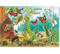 Garden Creatures 2000Pc Jigsaw Puzzle - Allows Learning About Different Insects, Encourages Problem Solving, Pieces That Fit and Snap Together with Ease, for Ages 5 and up