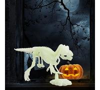 Garden Decorations The Dark Dinosaur Skeleton Model DIY Assembling Dinosaur Skeleton Children’ s Assembly Toy. Thinker Statues And Sculptures (E, One Size)