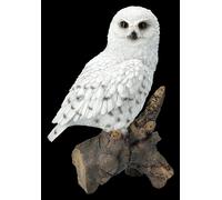 Garden Figure Owl - Snowy Owl on Branch - HotAnt Garden Decoration Bird Statue