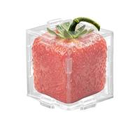 Garden Fruit Mould Set Vegetable Shaper for Square Tomatoes Apples Pears Strawberries Reusable Plastic Stable Transparent Growth Mould Accessories Garden Tool Pack of 2 Clear