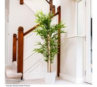 Garden Gear Artificial Bamboo Plant in Pot 150cm - Size: 150 x 17 x 17cm - Green - Thompson & Morgan - Wilko