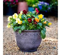 Garden Gear Athena Antique Stone Effect Planter (D35 X H25.5Cm)