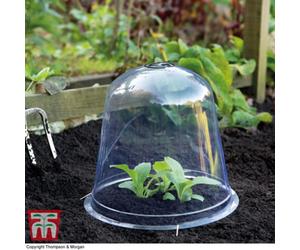 Garden Gear Bell Cloche Garden Protection For Young Plants Sturdy Weatherproof Protects Alpine And Perennial Plants From Rotting & Pests X1