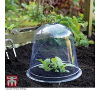 Garden Gear Bell Cloche Garden Protection For Young Plants Weatherproof Protects Alpine & Perennial Plants From Rotting & Pests X3