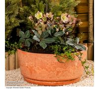 Garden Gear Caesar Terracotta Bowl Planter - Marble Effect, Frost & Weather Resistant, UV Resistant, Indoor & Outdoor Use, Lightweight, Available in Small & Large Sizes (46cm Planter x2)