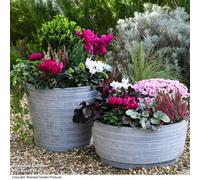 Garden Gear Caesar Composition Marble Effect Planter D46 X H52Cm