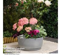 Garden Gear Caesar Bowl 34.5Cm Concrete, Grey