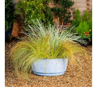Garden Gear Caesar Marble Effect Sky Blue Bowl (46Cm)