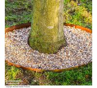 Garden Gear Circular Heavy Duty Metal Border Edging For Bushes, Shrubs & Trees 60Cm Diameter (Corten Steel)