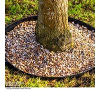 Garden Gear Circular Heavy Duty Metal Border Edging For Bushes, Shrubs & Trees 90Cm Diameter (Black)