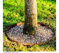Garden Gear Circular Heavy Duty Metal Border Edging For Bushes, Shrubs & Trees 90Cm Diameter (Corten Steel)