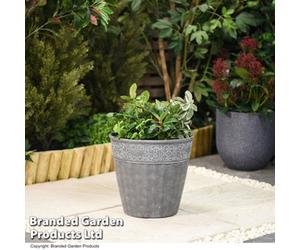 Garden Gear Damask Lead Effect Planter Outdoor Garden Patio Dark Grey 28Cm (X1)