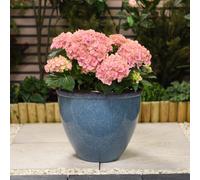 Garden Gear Blue Glazed Effect Planter Sl ell Shape 34cm Tall Flower Pot Design Lightweight Durable Frost & UV Resistant 4 Pre-Drilled Drainage Holes (1)