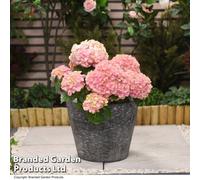 Garden Gear Grey Stone Effect Planter For Garden Outdoors Weatherproof Plastic (X1)
