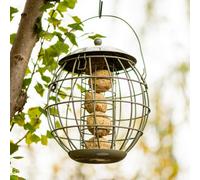 Garden Gear Happy Beaks Orbital Squirrel Proof Fat Ball Feeder