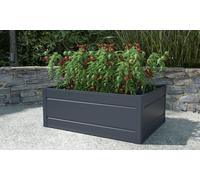 Garden Gear High Density Plastic Raised Garden Bed: 100x80cm /One