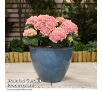 Garden Gear Blue Glazed Effect Planter Sl ell Shape 34cm Tall Flower Pot Design Lightweight Durable Frost & UV Resistant 4 Pre-Drilled Drainage Holes (1)