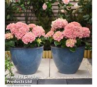 Garden Gear Blue Glazed Effect Planter Sleek Bell Shape 34cm Tall Flower Pot Design Lightweight Durable Frost & UV Resistant 4 Pre-Drilled Drainage Holes (2)