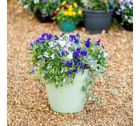 Garden Gear Lucena Matte Finish Planter Pot - Dusky Pink Pastel Blue Abbey Stone Outdoor Flower Pot, Weatherproof Frost & UV Resistant, Lightweight Durable Container (Laurel Green x1)