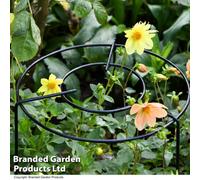 Garden Gear Medium Double Round Grow Through Grid Support D25Cm X 1