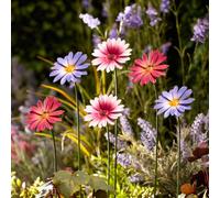 Garden Gear Metal Daisy Stake Pack of 12 (Purple/Pink/Magenta), Purple
