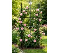 Garden Gear Metal Rose Trellis Plant Support Frame W90 X H180Cm