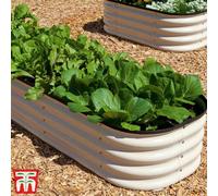 Original Veggie Bed Paperbark Garden Planting Merino White Vegetable Planter Easy to Grow our Own 2x Veg Bed by Thompson and Morgan. (Merino White)