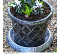 Garden Gear Black & Pewter large Flowerpot with Saucer, 42cm Diameter 31cm High, Trellis Design, Weatherproof (2)