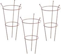 Garden Gear Pre-Rust Corten Peony Plant Frame Medium X 3 Inc
