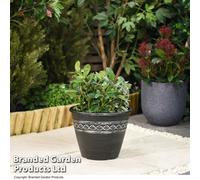 Garden Gear Roman-Greco Design Planter Garden Outdoor Patio 27.5Cm (X2)