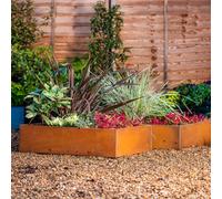 Garden Gear Rust Effect Metal Raised Bed Medium 80x60x20cm Large 120x80x20cm Durable Corten Steel Vegetable Planter Outdoor Gardening Box (80x60x20cm x2)