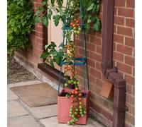 Garden Gear Self Watering 4 Tier Tomato Tower Jumbo Fruit & Vegetable Vine Plant, Support Grower, 1.5M Weatherproof Tower Garden Planter (X3)