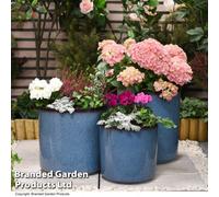 Glazed Planter Selection: Glazed Cylinder Planter- Small/One