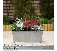 Garden Gear Steel Effect Trough Planter For Garden Outdoor Patio Weatherproof Plastic (X2)
