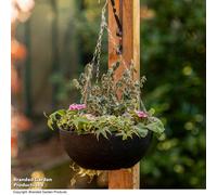 Garden Gear Garden Hanging Basket, 35cm Flecked Stone Effect, UV & Frost Resistant, 50cm Chain (2)