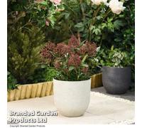 Garden Gear Stone Effect Garden Planter In Ivory For Outdoor Patio, Weatherproof Plastic (X3)