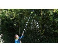 Garden Gear Telescopic Chainsaw: Garden Gear 12V 2-in-1 Cordless Telescopic Chainsaw
