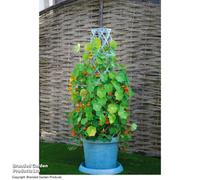 Garden Gear Plant Pot Tower Planter & Flower Climbing Frame, Height 130cm, Weather-Resistant in Mayan Blue or Pistachio Green (1, Mayan Blue)
