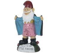 Garden Gnomes Sexy Gnome Statues, 5.9 Ih Resin Funny Garden Gnomes, Full Color Say Hello to My Little Friend, Reusable Naughty Gnomes, For Gnome Lovers,Black