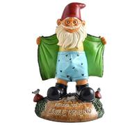 Garden Gnomes Sexy Gnome Statues, 5.9 Ih Resin Funny Garden Gnomes, Full Color Say Hello to My Little Friend, Reusable Naughty Gnomes,For Gnome Lovers,Green