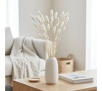 Garden Greatness 20 Pack Natural Dried Bunny Tails Stems in White Garden Greatness White 20 Pack