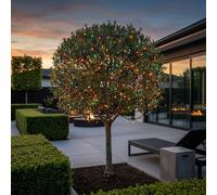 Garden Greatness 200 LED Solar Multi-Coloured Garden String Lights | Size: 1 Pack Garden Greatness Multicolor 1 Pack