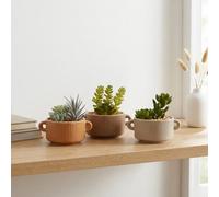 Garden Greatness 3 Pack Artificial Succulents In Pot