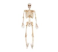 Garden Greatness 3ft Standing Skeleton with LED Eyes - Halloween Prop in White | Size: 1 Pack Garden Greatness White 1 Pack