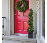 Garden Greatness 4ft Potted Spiral Christmas Berry Tree in Green | Size: 1 Pack Garden Greatness Green 1 Pack