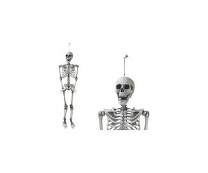 Garden Greatness 5ft Hanging Spooky Skeleton Decoration in White | Size: 1 Pack Garden Greatness White 1 Pack