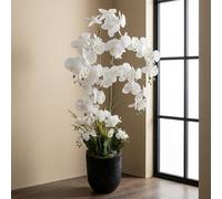 Garden Greatness 5Ft Maison Botanical Real Touch Orchid